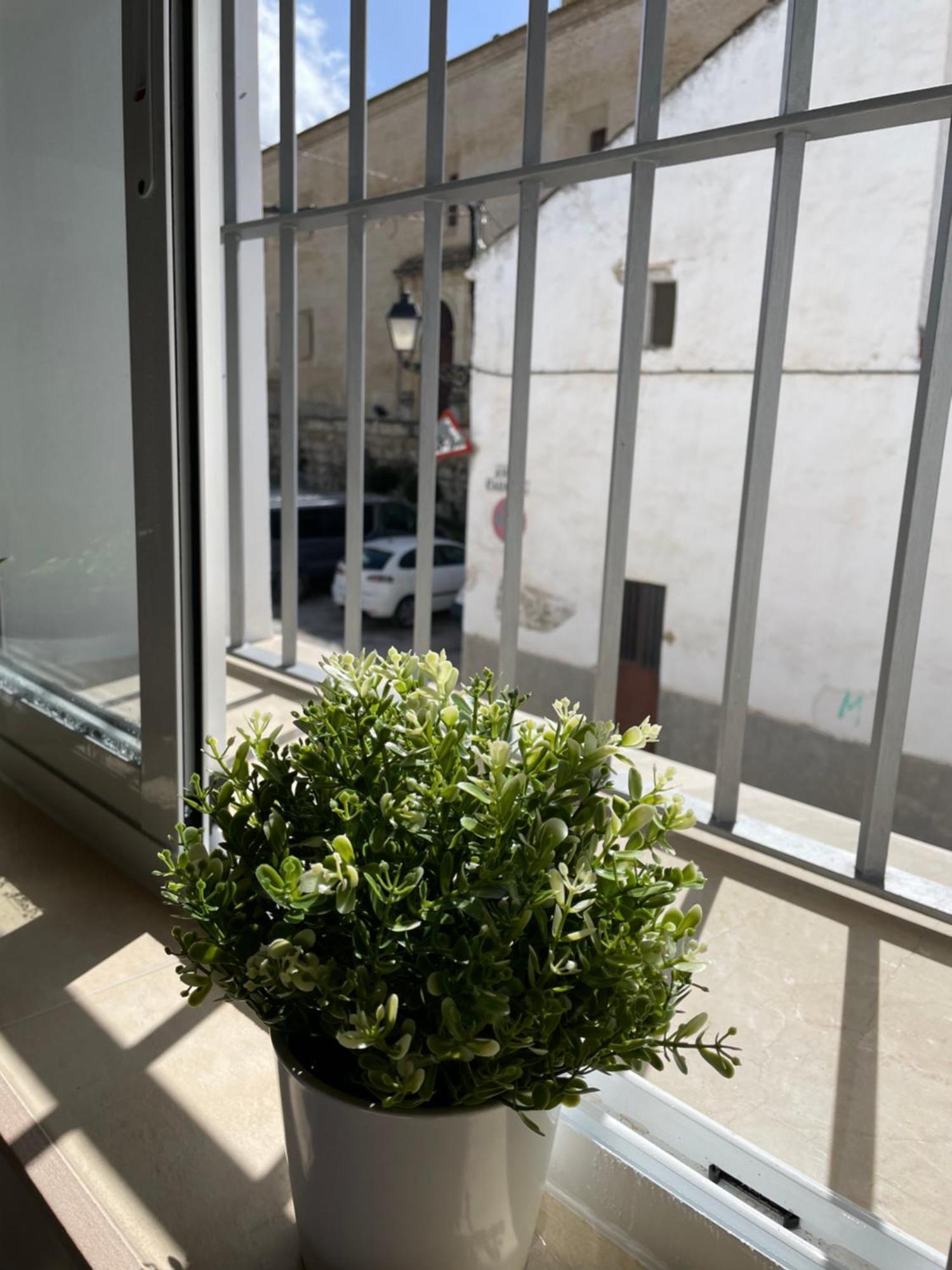 Casa Delia Apartment Bornos Exterior photo